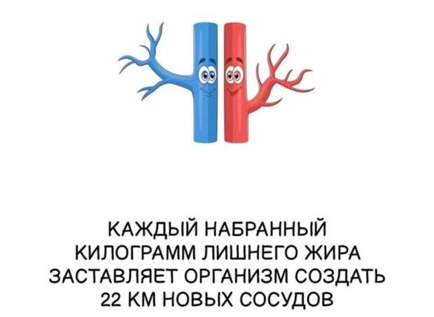 Интересные факты на все случаи жизни