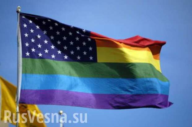 Экспорт толерантности: зачем США оплачивают борьбу с законом о гомосексуализме в РФ | Русская весна