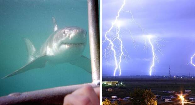 Статистика укусов акул и ударов молнии