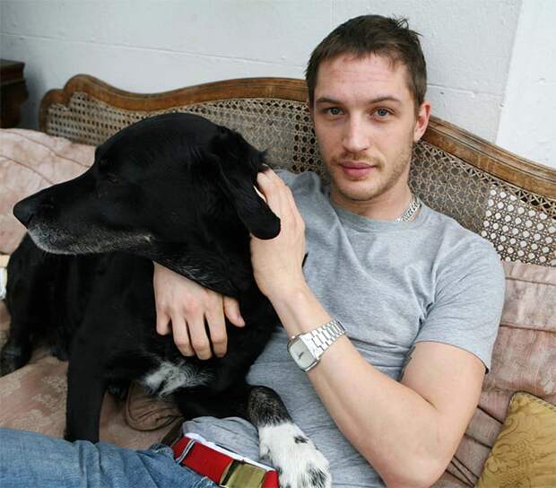 https://sobakibalabaki.com/wp-content/uploads/2017/09/love-for-dogs-tom-hardy-59bf78abe7f17__700.jpg