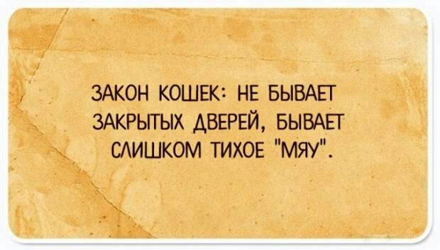 Забавные рассуждения о жизни