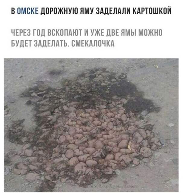 Смешные картинки и фотографии с надписями со смыслом (11 фото)