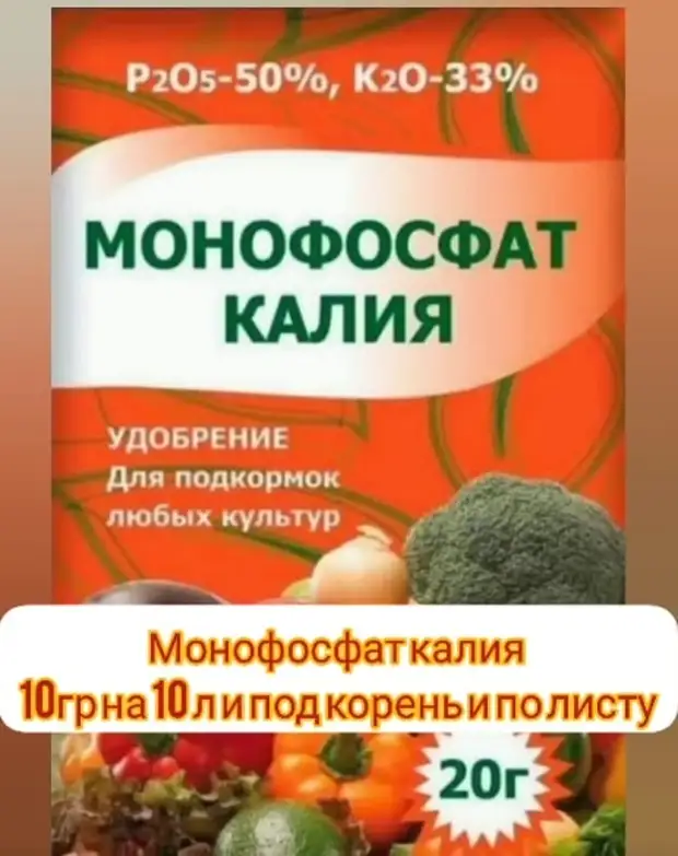 Подкормка огурцов пивом. Удобрение для огурцов. Схема подкормки огурцов.