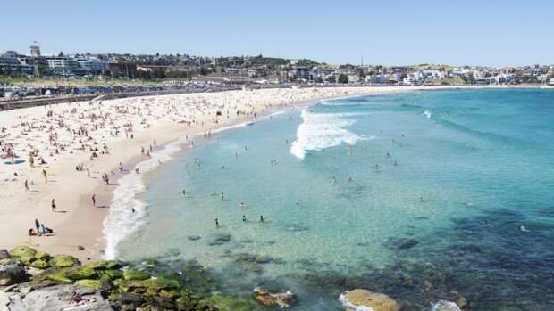 Самый популярный пляж в Instagram - Бонди-бич, Сидней, Новый Южный Уэльс австралия, доказательство, животные, мир, природа, туризм, фотография