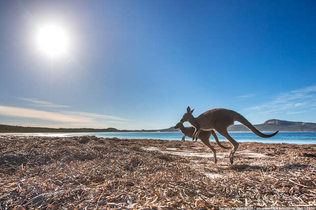 Lucky Bay