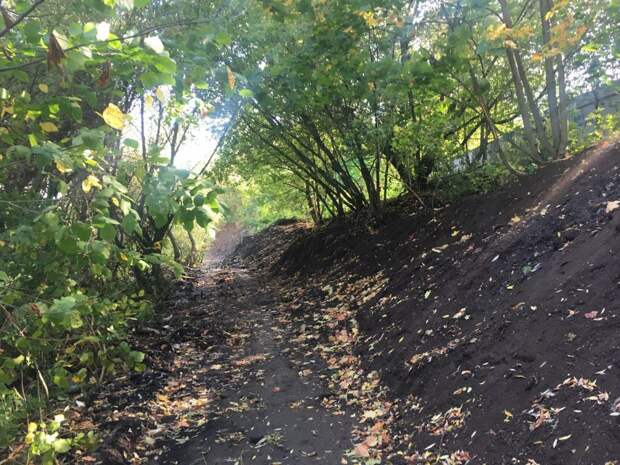 Берег Сходни/mos.ru