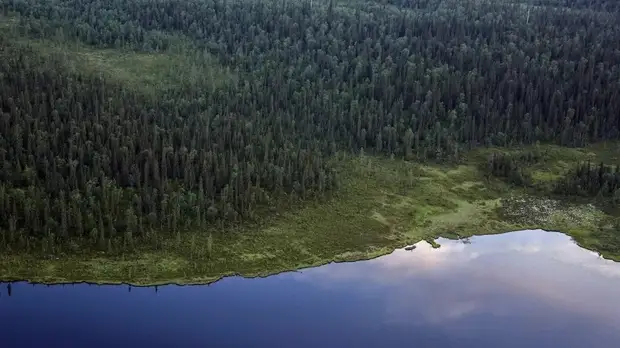 Эксперт прокомментировал решение США выйти из соглашения по климату