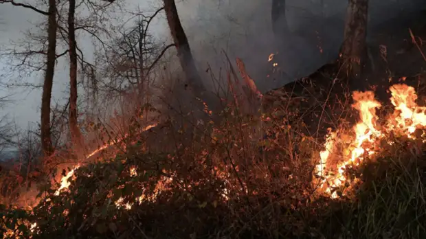В МЧС заявили о недопущении перехода огня на населённые пункты в Якутии
