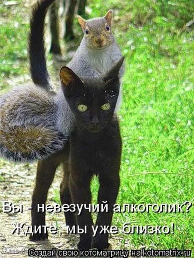 Мысли вслух :)