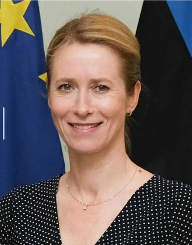 Кая Каллас хочет лишить сербов финансирования  из-за дружбы с Россией