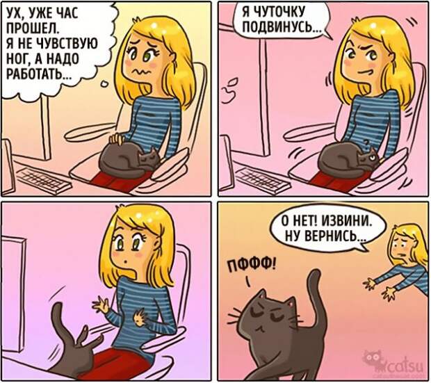 Как меняется жизнь с появлением в доме кота (20 картинок)