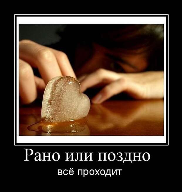 Демотиваторы (30 фото)