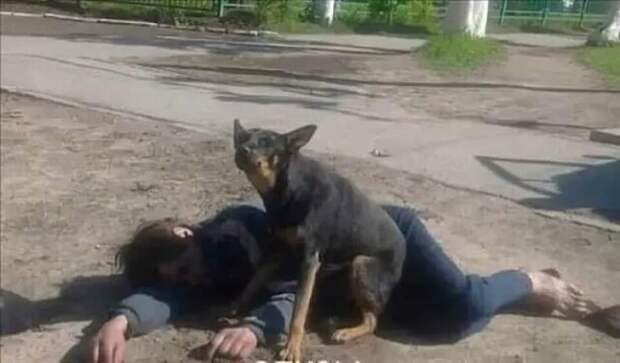 ВЕРНОСТЬ