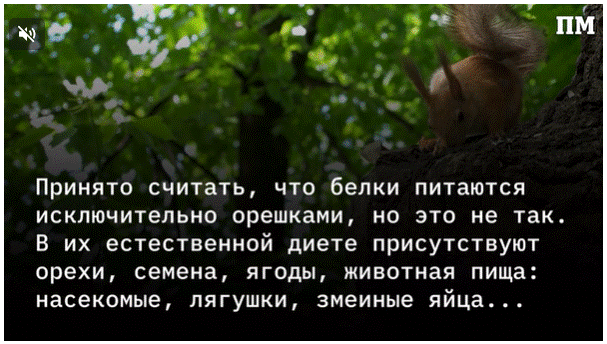 «Землю не должно продавать навсегда, ибо Моя земля: вы пришельцы и поселенцы у Меня»