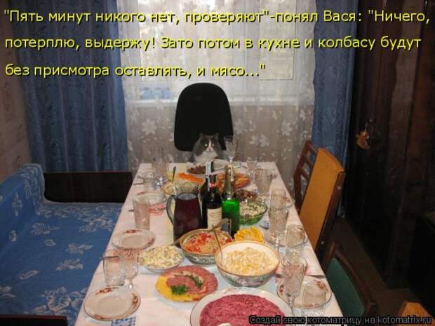 Лучшие котоматрицы недели (50 фото)