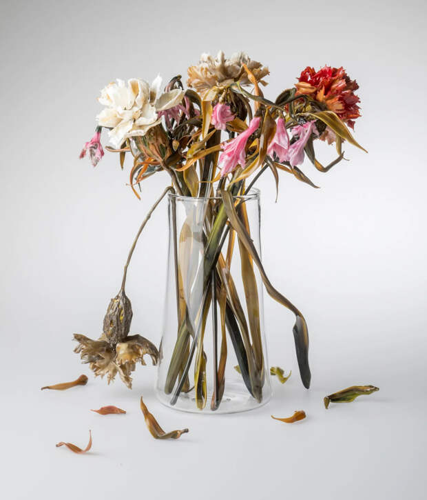 Стеклянный сад. «Живые» цветы Лиллы Табассо