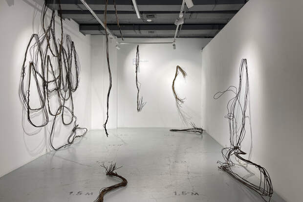 Анна Желудь, тотальная инсталляция «Абзац» в PA Gallery, 2025 год