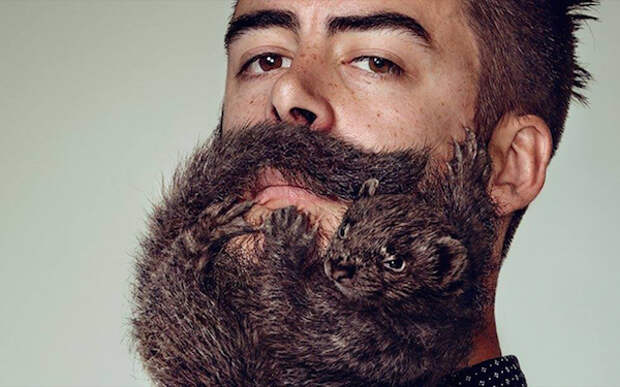 Живая борода в рекламе Schick.