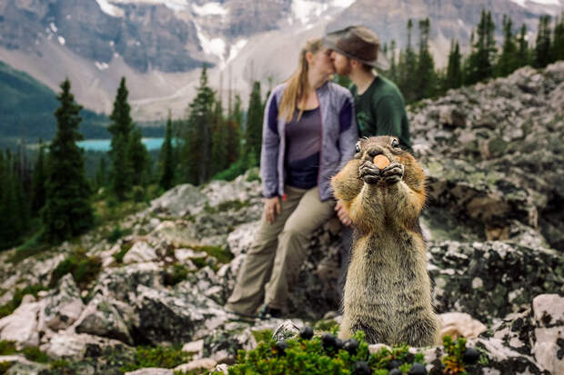 squirrel-photobombs-engagement-photoshoot-kelin-flanagan-spencer-taubner-bdkf-2