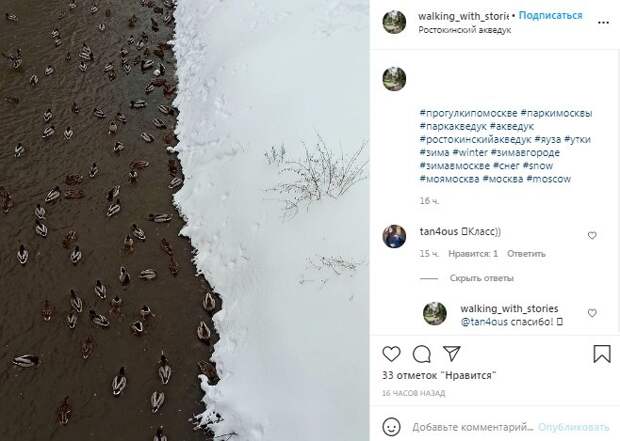 Фото дня: утки на Яузе попали в черно-белое кино