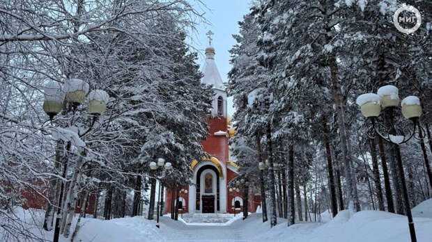 Жителей Ноябрьска приглашают на Рождественский субботник