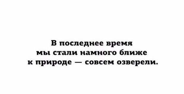 Прикольные картинки картинки из сети, прикол, юмор