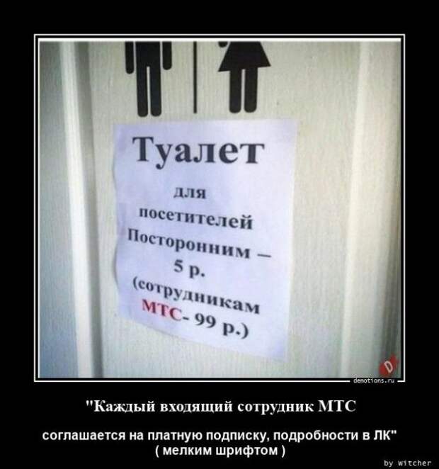 1599721075_demy-8.jpg