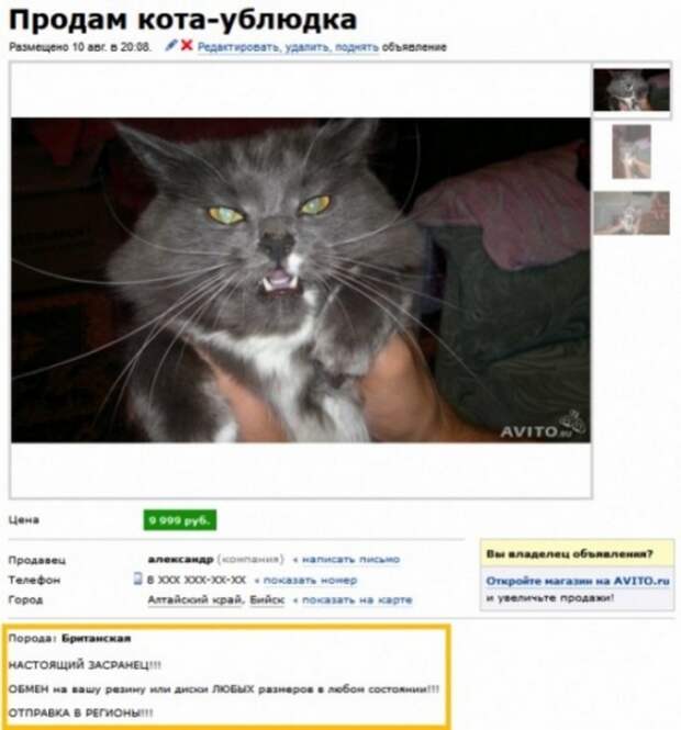 Странные объявления (25 фото)
