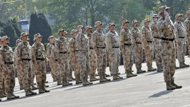 Глава Минобороны Венгрии счёл нецелесообразным размещать дополнительный контингент НАТО