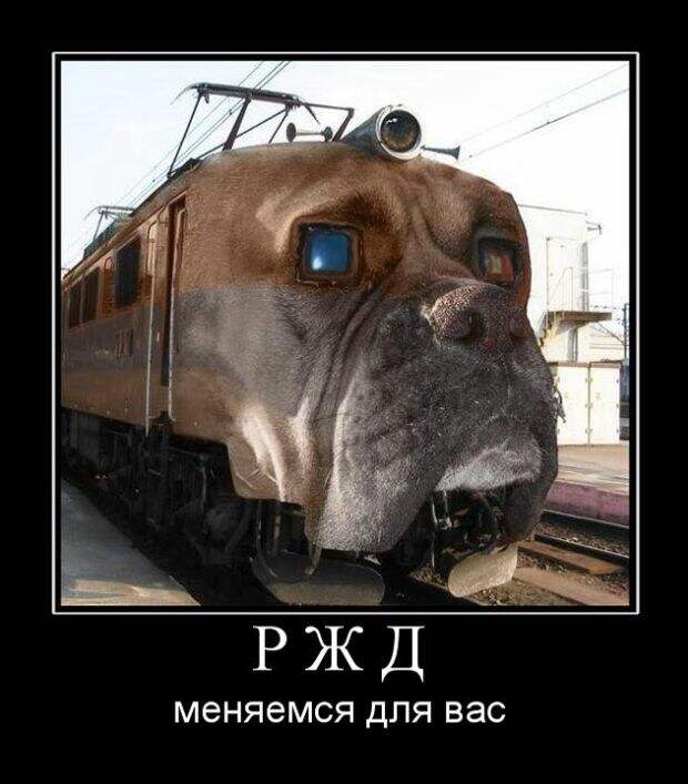Демотиваторы (30 фото)