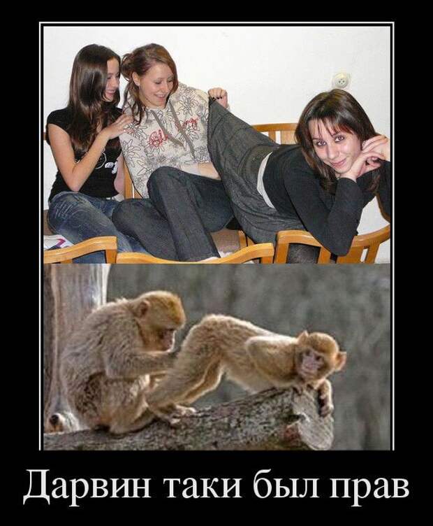 Демотиваторы (30 фото) Демотиваторы (30 фото)