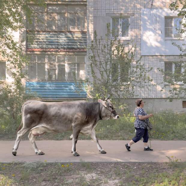Дмитрий Марков