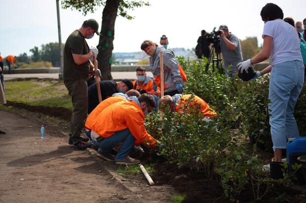 500 саженцев кизильника посадили волонтеры на акции «360» в Иркутске. Фото