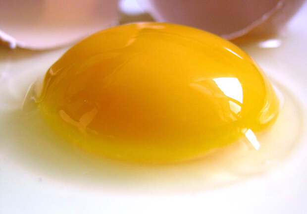 1280px-Raw_egg-e1388169693786