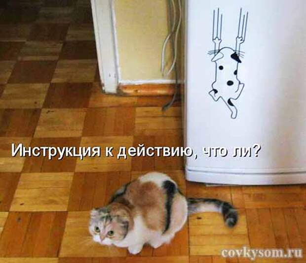 Кулинарные котоматрицы