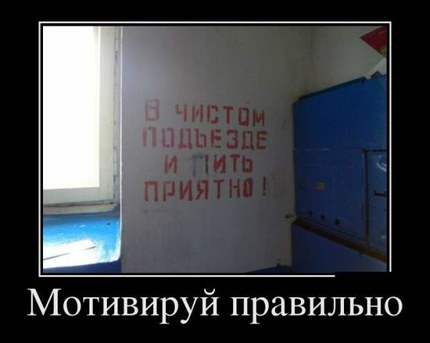 Позитивные и смешные демотиваторы для хорошего настроения (11 фото)