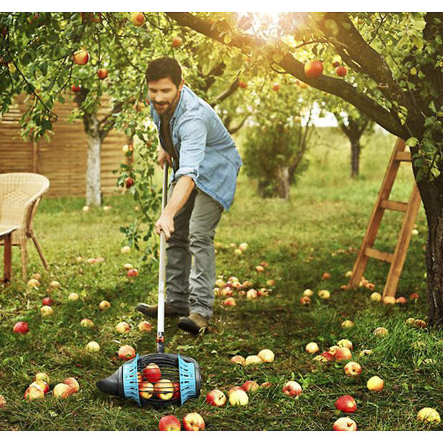 Плодосъемник Gardena Combisystem Fruit Collector позволяет собирать фрукты, не наклоняясь к земле. /Фото: images.clasohlson.com