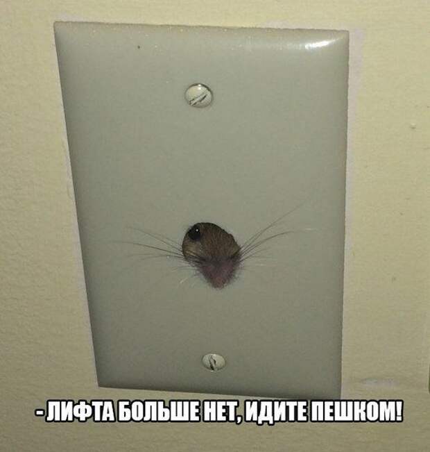 Позитивный пост+1456