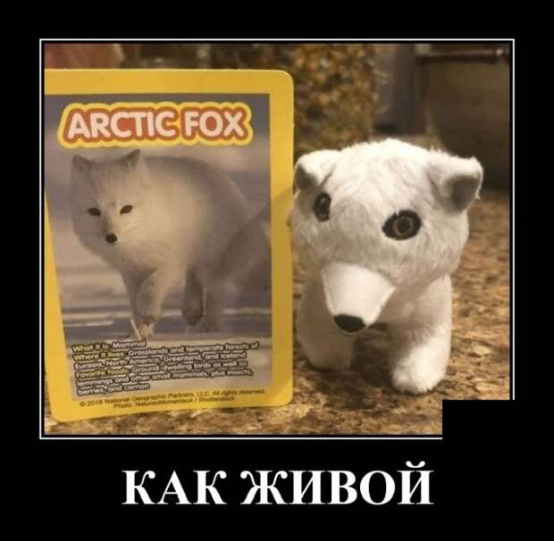 Демотиваторы (20 фото)