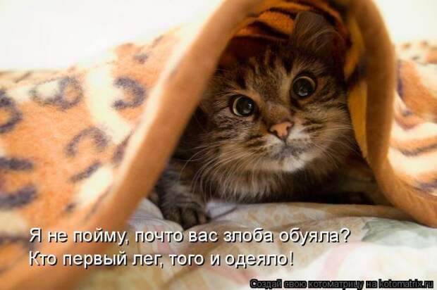 Мысли вслух :)