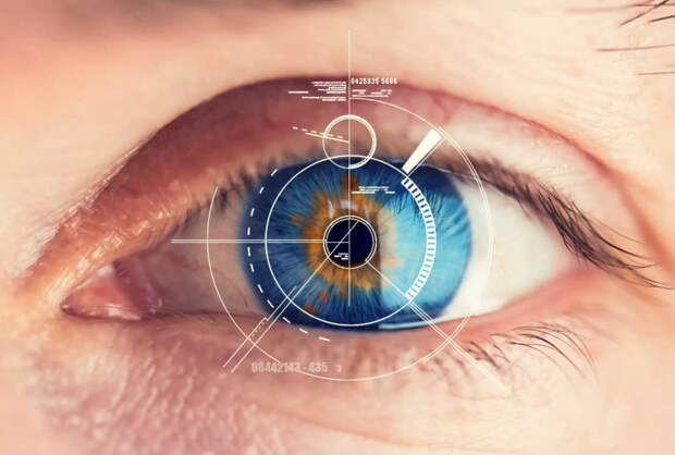Лечение глаз травами: без химии можно улучшить зрение!