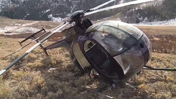 Вертолет разбился после столкновения с лосем в США