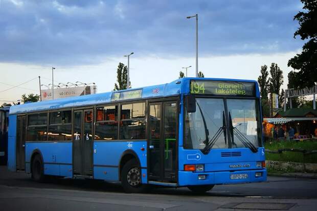 Результат местного капремонта, или в Будапеште обливали автобусы в голубой до того, как это стало мэйнстримом автобус, будапешт, венгрия, икарус, общественный транспорт