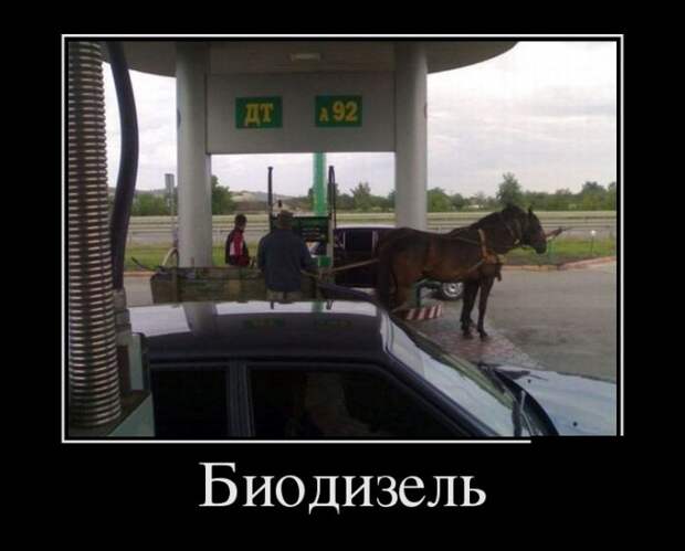 Демотиваторы №1502 (30 фото)