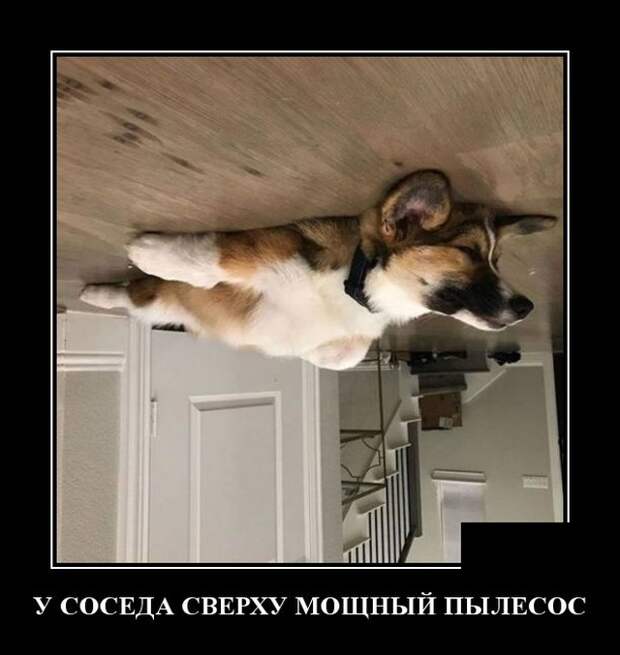 www.vsyako.net