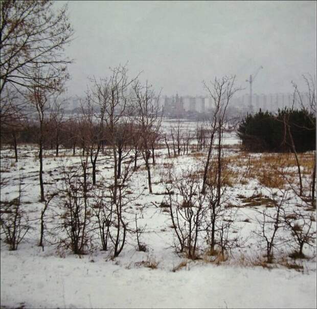 Москва 1960-1980-х годов на снимках