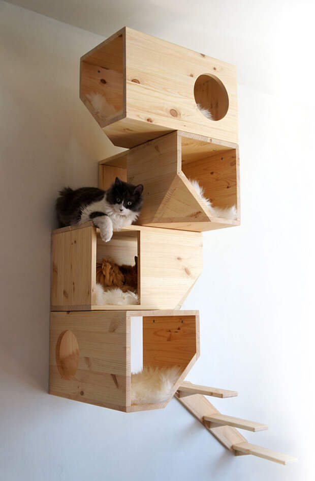 Catissa: кошкин дом