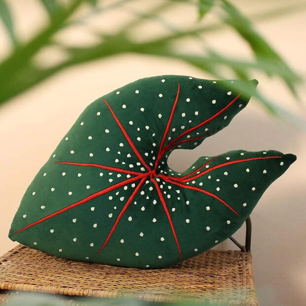 Гигантские листья растений, которые можно обнять: швейный блог недели