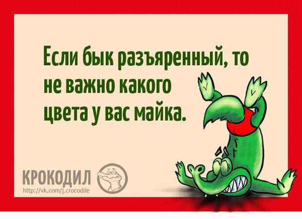 Юмор и веселье в картинках с надписями от Крокодила (12 фото) Юмор и веселье в картинках с надписями от Крокодила (12 фото)