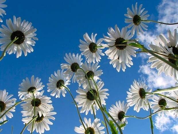 Ближе к небу...